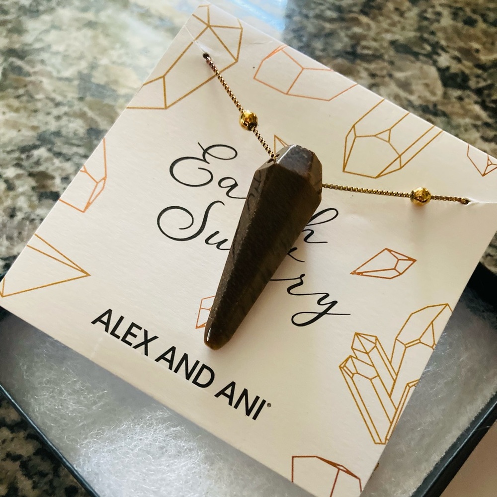 Alex and Ani Tiger’s Eye Pendulum Necklace